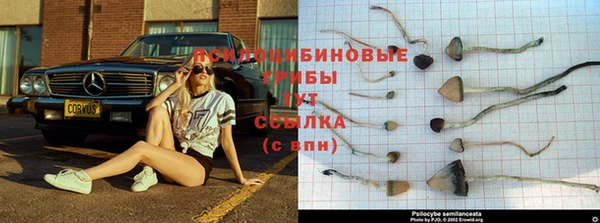 гашиш Заводоуковск
