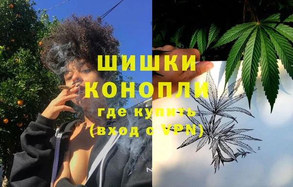 амф Заволжье