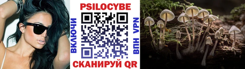 Купить  Старица  Галлюциногенные грибы мухоморы 